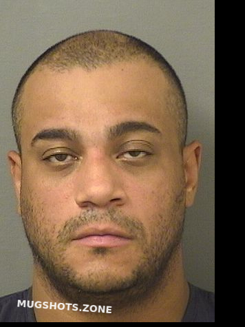 Hernandez Luis Palm Beach County Mugshots Zone