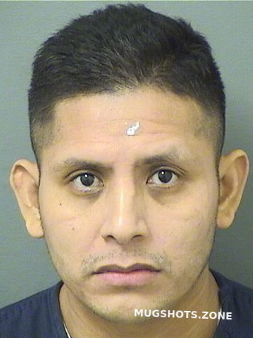 Mendez Raul Perez Palm Beach County Mugshots Zone