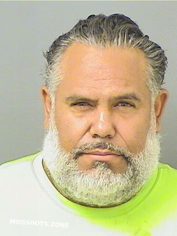 Borrego Raul Palm Beach County Mugshots Zone