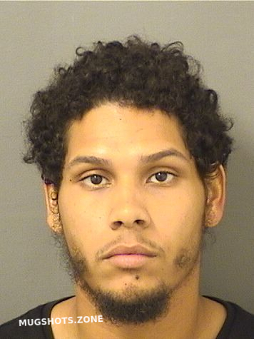 Dejesus Michael Angelo Palm Beach County Mugshots Zone