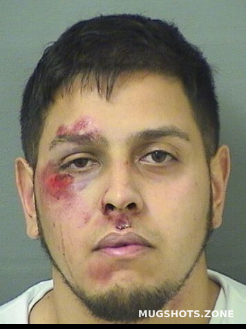 Cruz Michael Palm Beach County Mugshots Zone