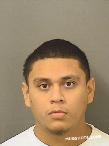 Zuniga Jose Palm Beach County Mugshots Zone