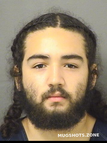 Leon Alejandro J Palm Beach County Mugshots Zone