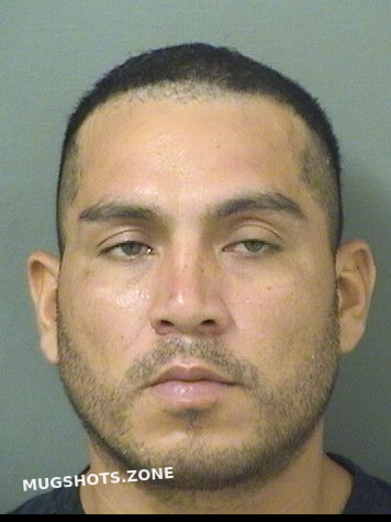 Florescampos Jorge Palm Beach County Mugshots Zone