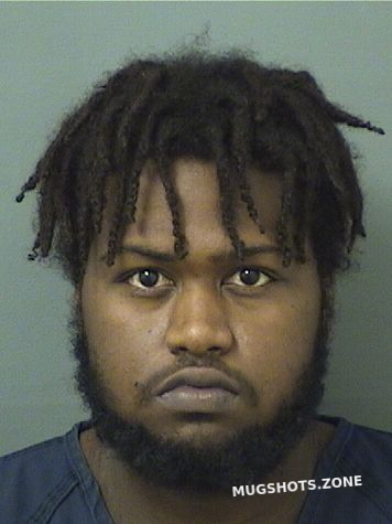 Fernandes Amaro Lopes Palm Beach County Mugshots Zone