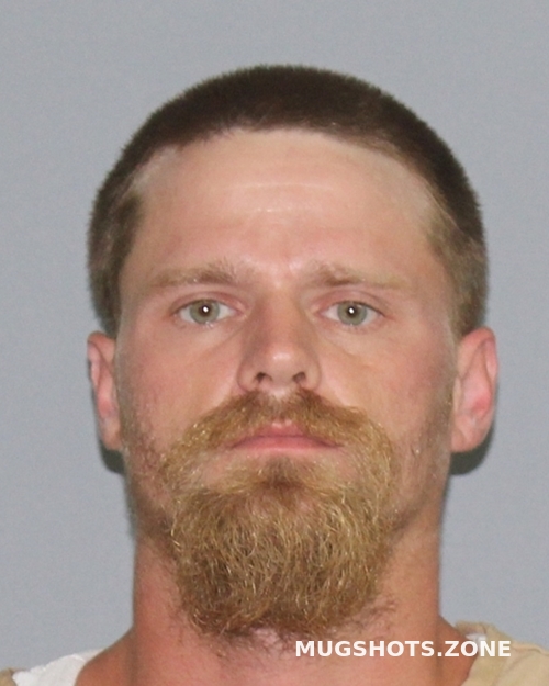 Lee William Dale Palo Pinto County Mugshots Zone