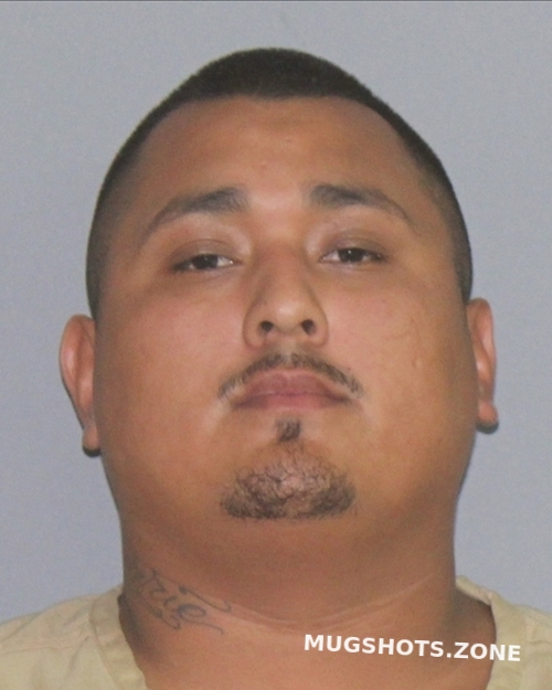 Chavira Antonio Lee Palo Pinto County Mugshots Zone