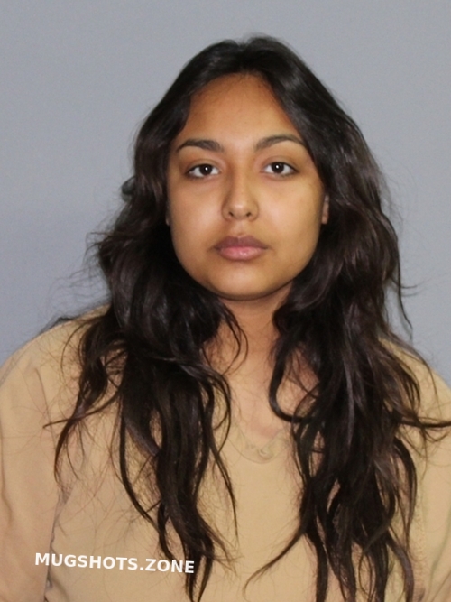 DOMINGUEZ SAVANNA ROSE 06 22 2022 Palo Pinto County Mugshots Zone