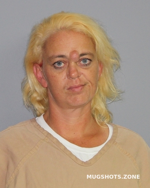 BALL BRENDA ANN 12 16 2022 Palo Pinto County Mugshots Zone