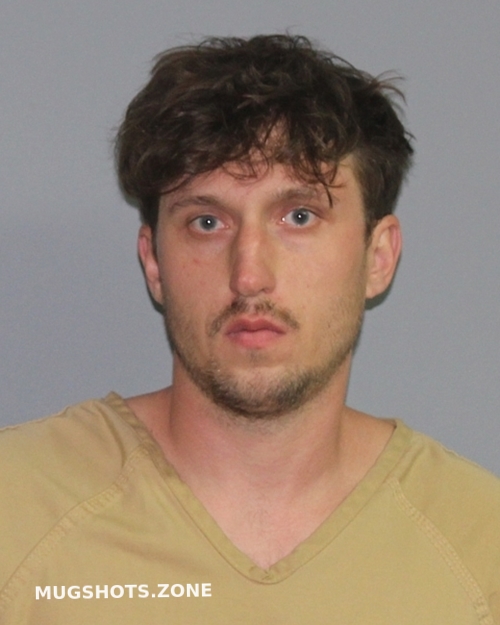 Woodring Ryan Tanner Palo Pinto County Mugshots Zone