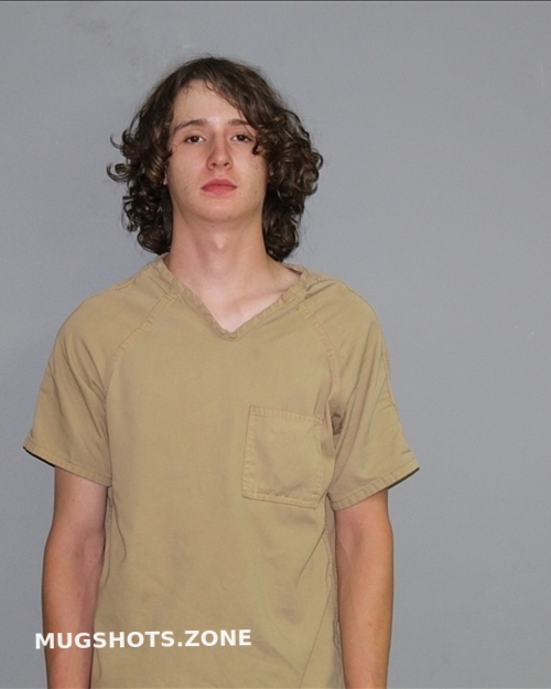 Gordley Adam Nicholas Palo Pinto County Mugshots Zone