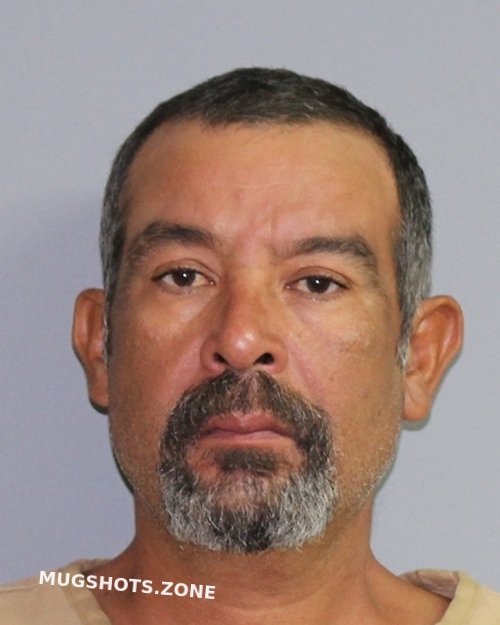 Vela Jose Antonio Palo Pinto County Mugshots Zone