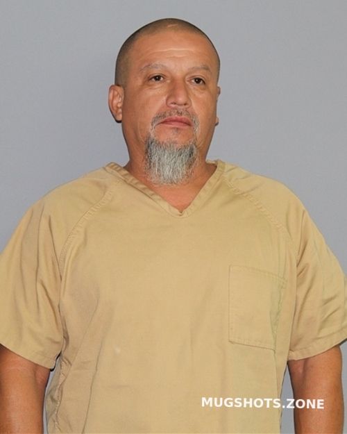 Jimenez Gabriel Rivas Palo Pinto County Mugshots Zone