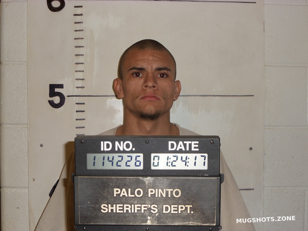 Marquez Adan Palo Pinto County Mugshots Zone