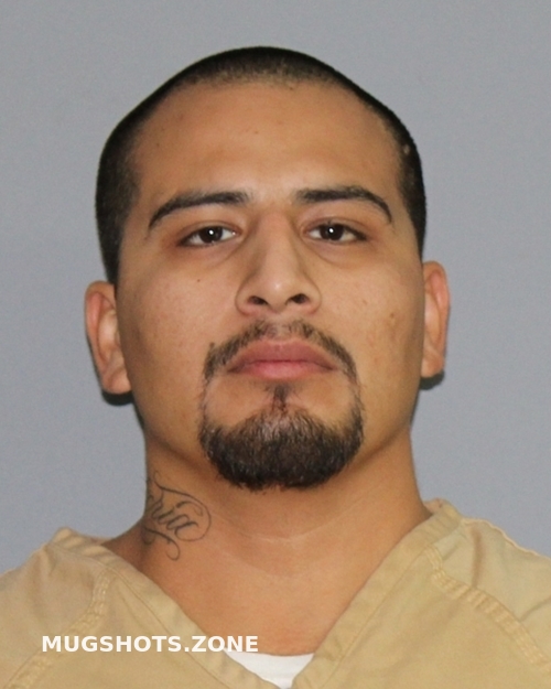 Garcia Antonio Palo Pinto County Mugshots Zone