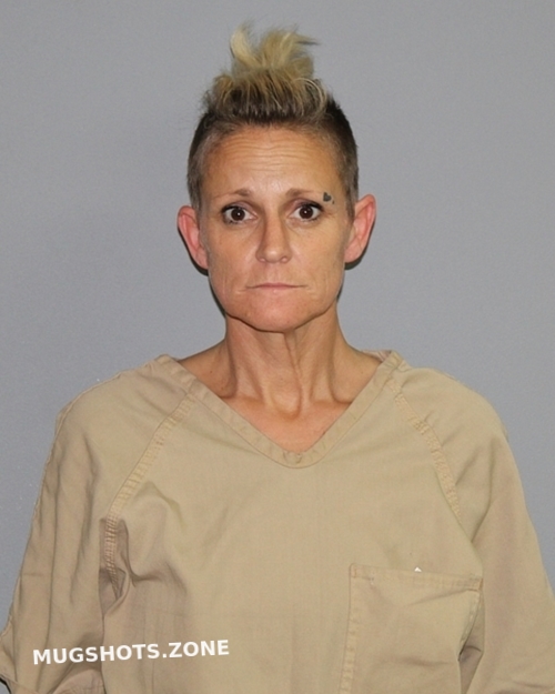 Driver Barton Shelley Dawn Palo Pinto County Mugshots Zone