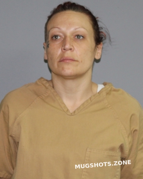 Smith Tessie Louise Palo Pinto County Mugshots Zone