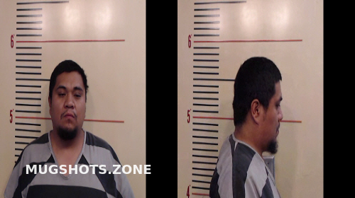 Meza Juan Carlos Parker County Mugshots Zone