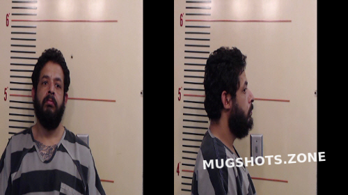 Trevino Armando Parker County Mugshots Zone