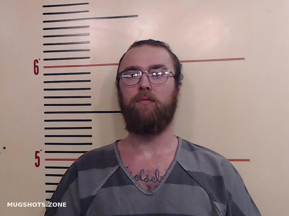 Sheets David Austin Parker County Mugshots Zone