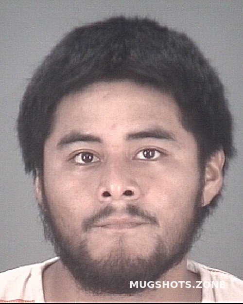 Najera Hector Pasco County Mugshots Zone