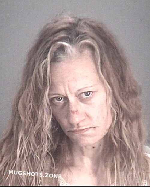 Menza Gina Marie Pasco County Mugshots Zone