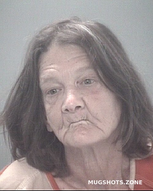 Leibrock Debra Ann Pasco County Mugshots Zone