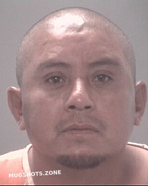 Rosas Bravo Jose Pasco County Mugshots Zone