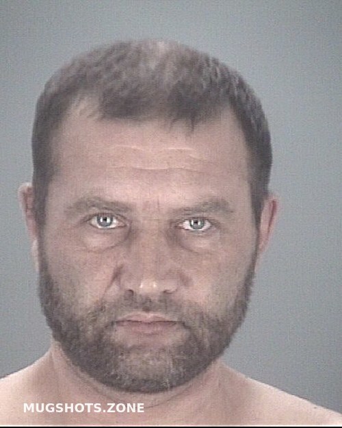 VALKOV SERGEY 10 24 2022 Pasco County Mugshots Zone