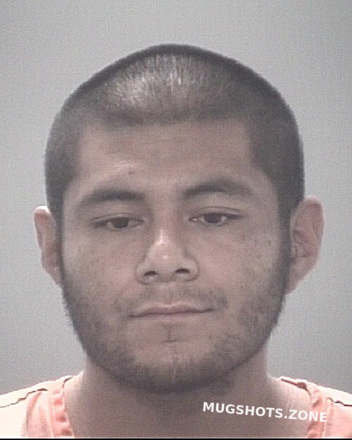 Najero Pedro Jr Pasco County Mugshots Zone