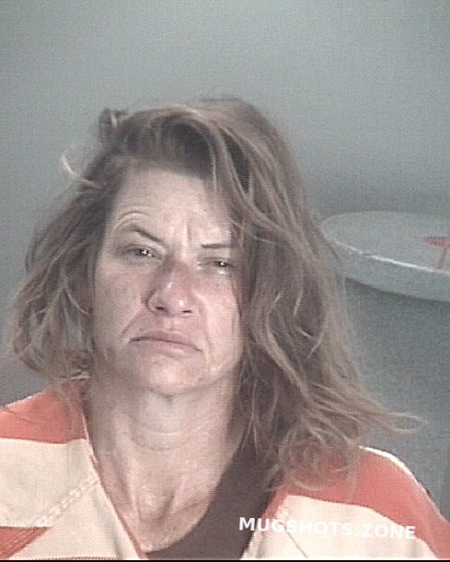 Robinson Mary Lynn Salvator Pasco County Mugshots Zone