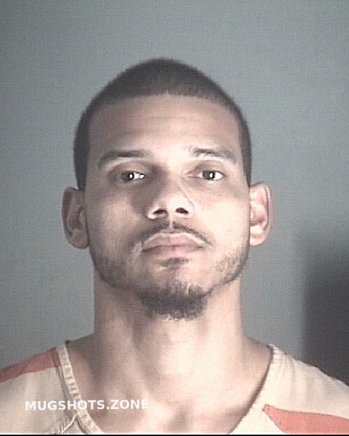 GONZALEZ AARON ANTHONY 11 15 2022 Pasco County Mugshots Zone