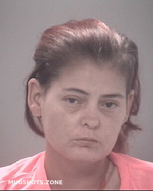 Mcmullen Elizabeth Anna Pasco County Mugshots Zone