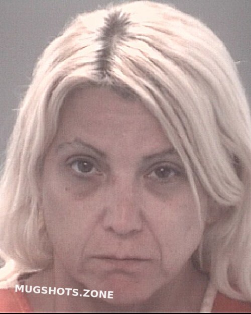 Miller Heather Lea Pasco County Mugshots Zone