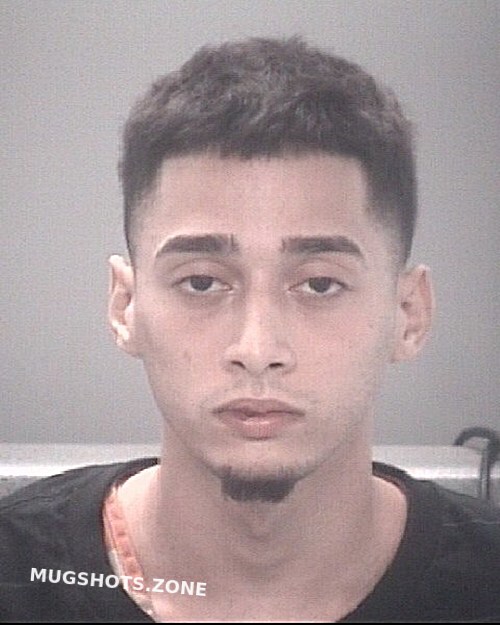 Rivera Julian Daniel Pasco County Mugshots Zone