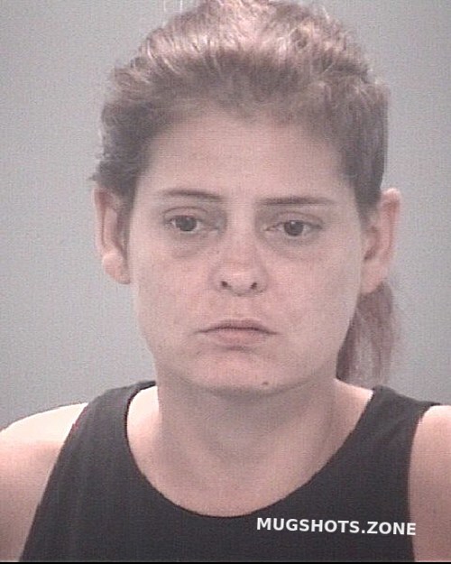 Mcmullen Elizabeth Anna Pasco County Mugshots Zone