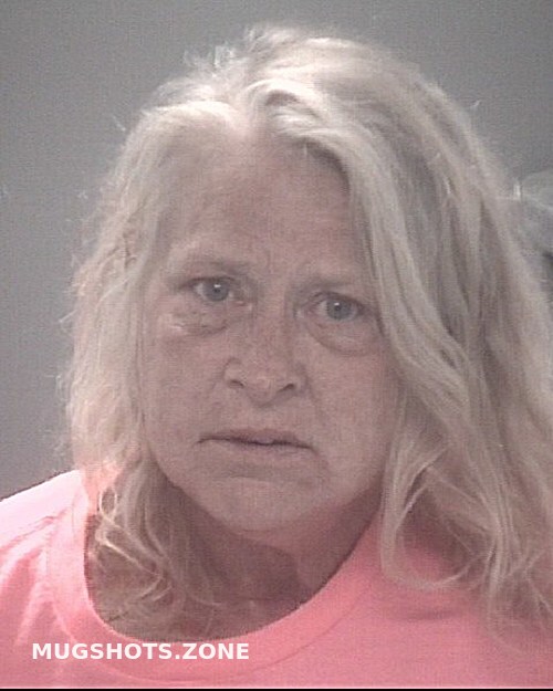 Storer Deborah Lynn Pasco County Mugshots Zone