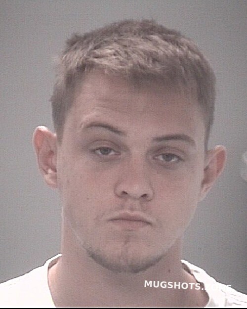 Hartz Damian Harold Pasco County Mugshots Zone