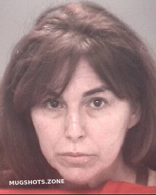 Kouremetis Christina Michele Pasco County Mugshots Zone