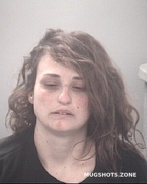 Macchi Sara Lyn Pasco County Mugshots Zone