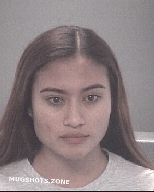 Mena Perez Jordana Michel Pasco County Mugshots Zone