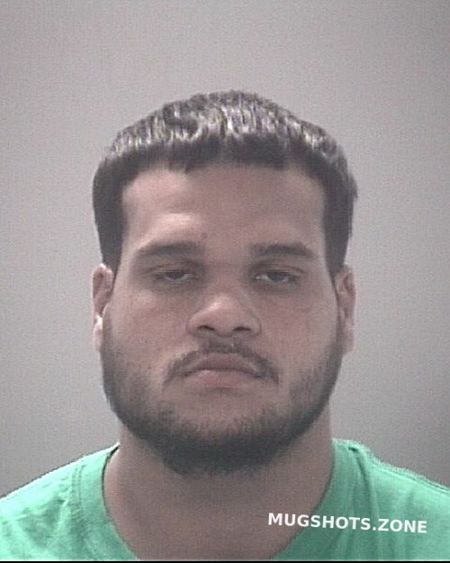 Santiago Reno Jordanni Pasco County Mugshots Zone