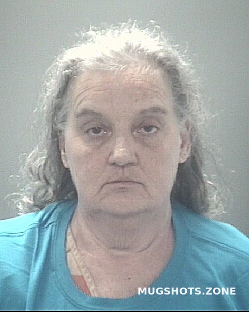 BLAISE DELORES LYNN 04 16 2024 Pasco County Mugshots Zone