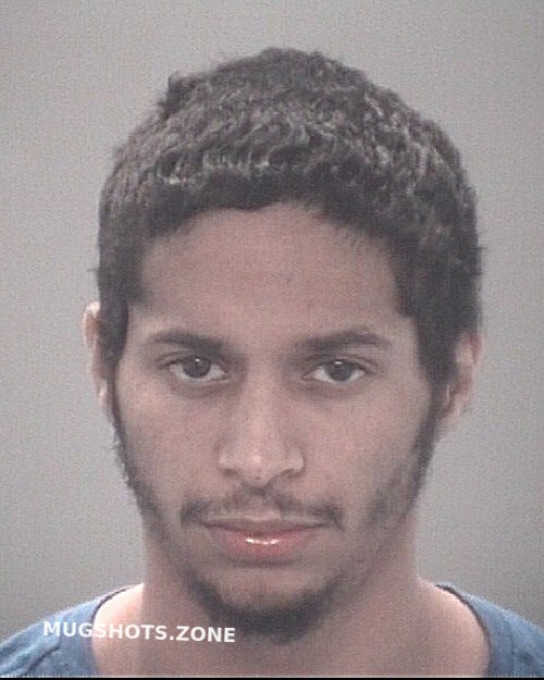 LORENZO ANGEL PEDRO 04 23 2024 Pasco County Mugshots Zone