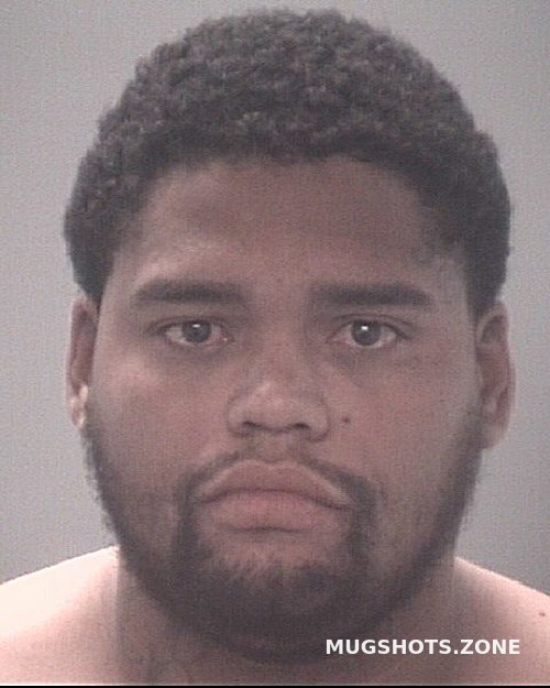 CASTRO FRENDY NICOLAS 05 14 2024 Pasco County Mugshots Zone