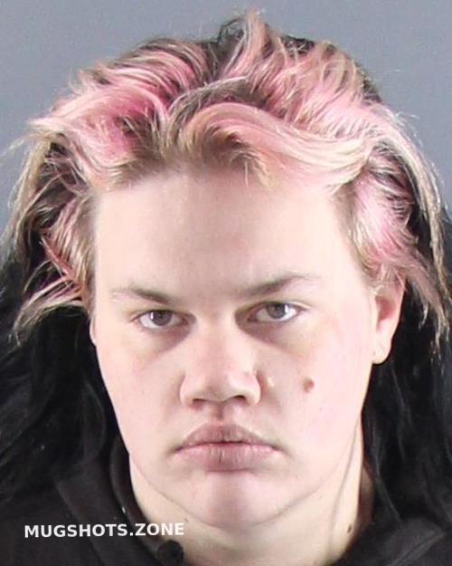 Rients Sonya R Peoria County Mugshots Zone