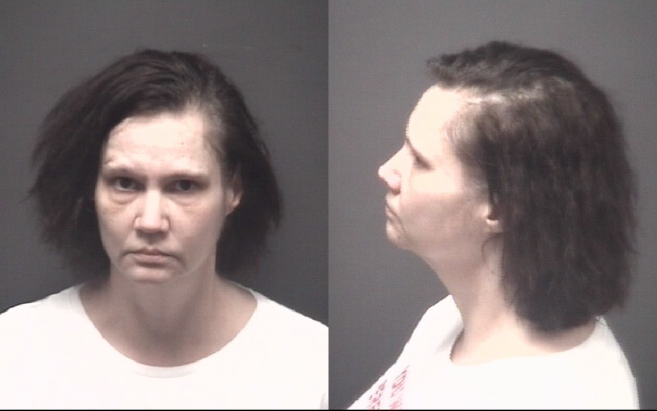 Skinner Sheila Earley Pitt County Mugshots Zone