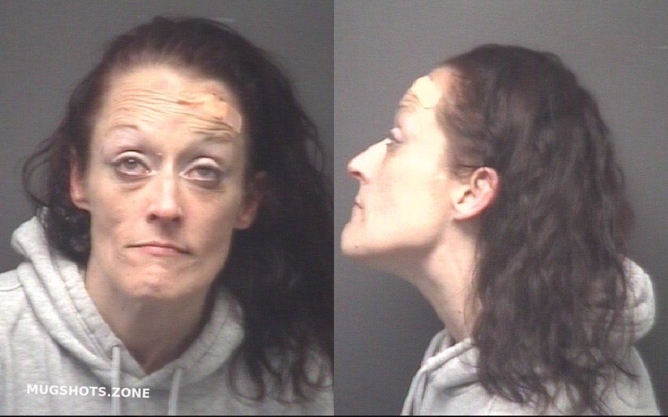 LEICHT HEIDI LYNN 12 11 2022 Pitt County Mugshots Zone