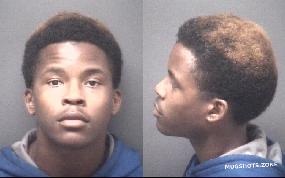 HIGGS DELVACEA RAYSHAWN 04 19 2024 Pitt County Mugshots Zone