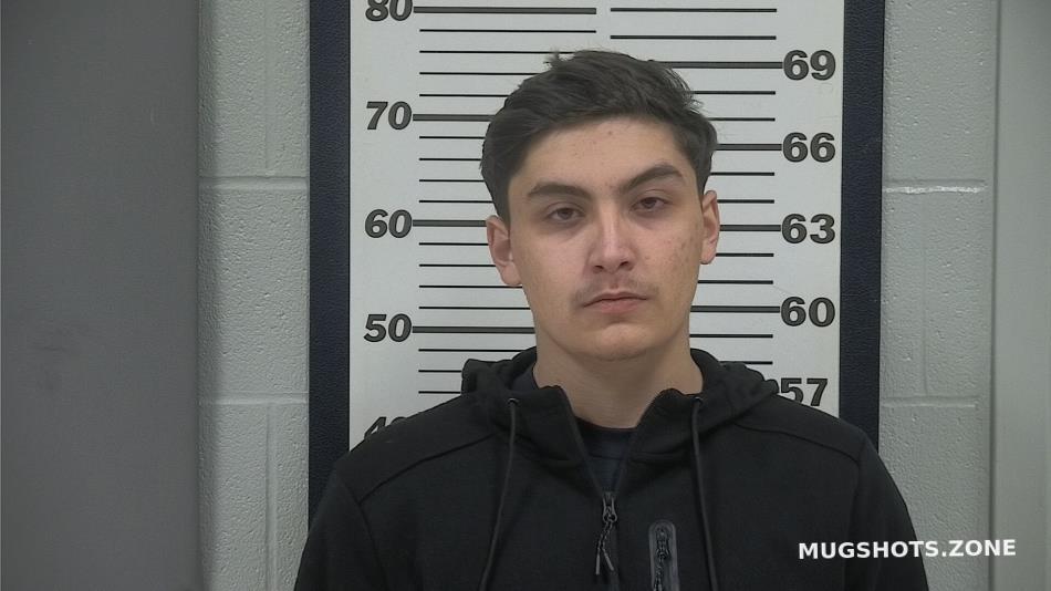 Mustafic Kenan Platte County Mugshots Zone